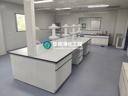 實(shí)驗(yàn)室凈化工程中的氣流組織有哪些具體要求？